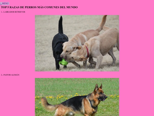 razas_perros screenshot