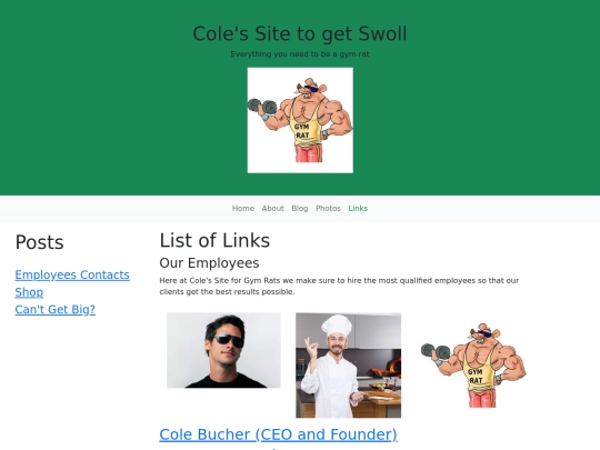 bslinks screenshot