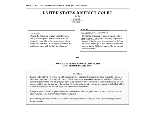 NOW.html/AAAGO/082420251142ComplaintforViolationofCivilRights screenshot