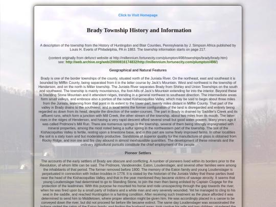 BradyTownshipInfo screenshot