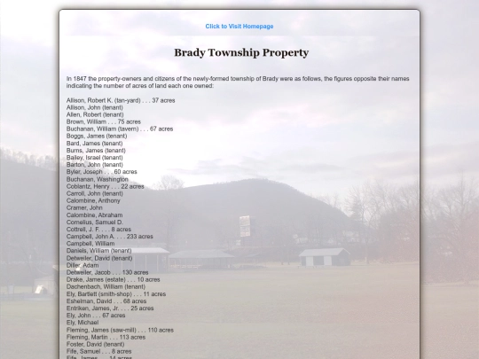 BradyTownshipProperty screenshot