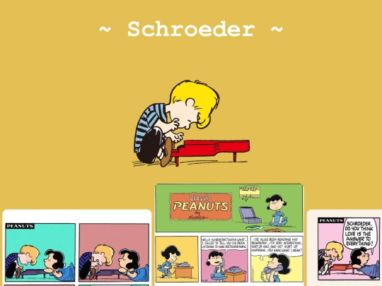 Schroder screenshot