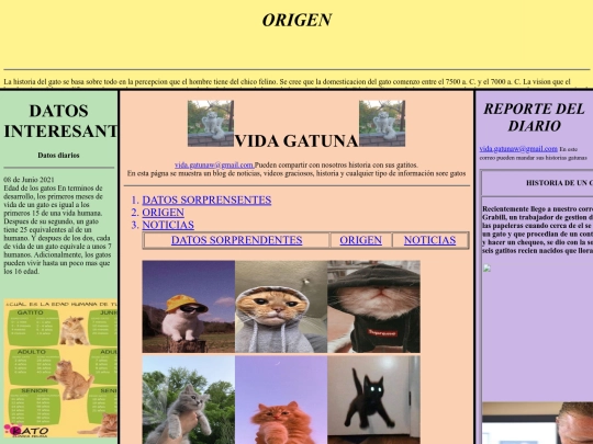 proyecto screenshot