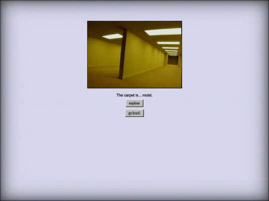 programs/the-backrooms/level0000-threshold/x007 screenshot