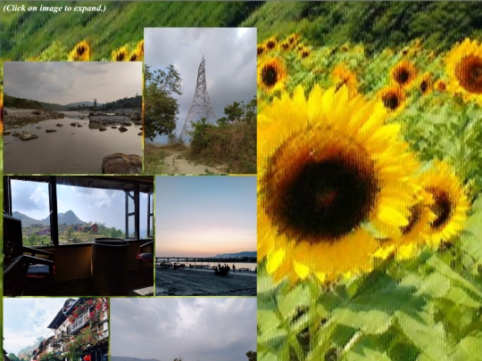 images screenshot