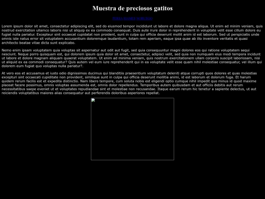 contacto screenshot
