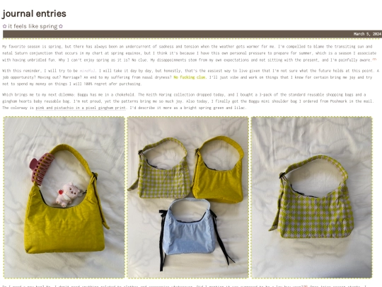 journal screenshot