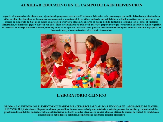 BACHI/capacitaciones screenshot