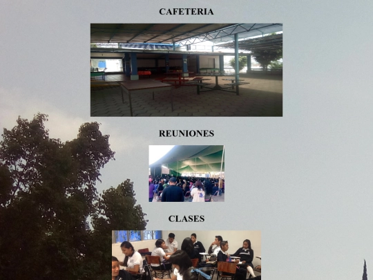BACHI/plantel screenshot