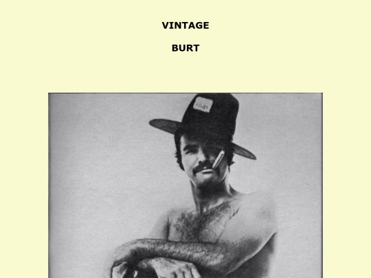 burt screenshot