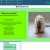 Rats and their Lives avatar
