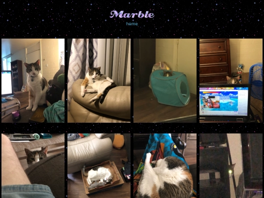 marble screenshot