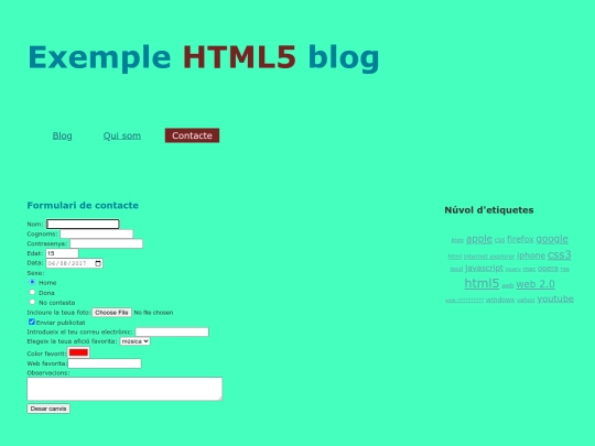 pagines/contacte screenshot