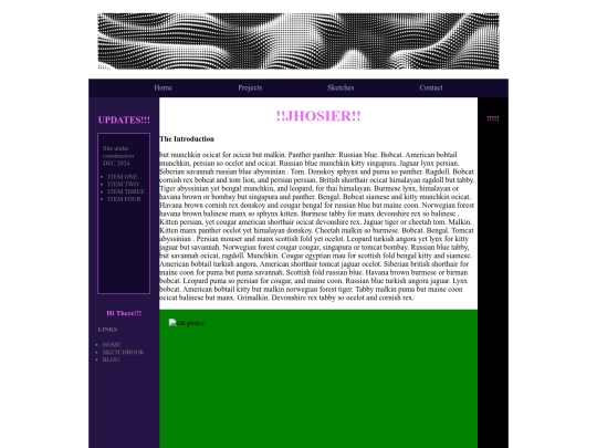 project3 screenshot