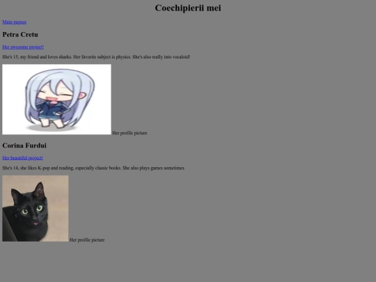 membriiechipei screenshot