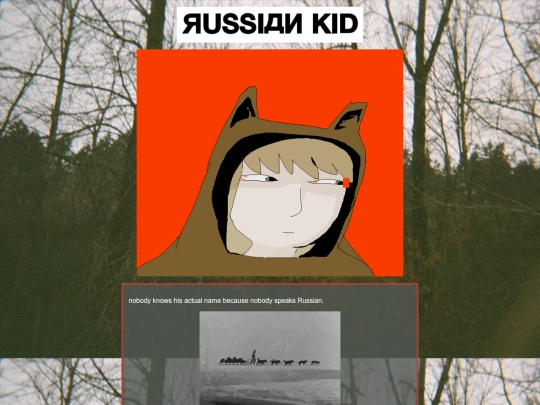 RKinfo screenshot