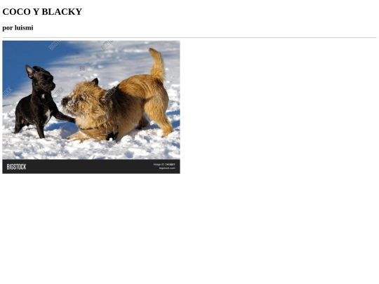 coco y blacky screenshot