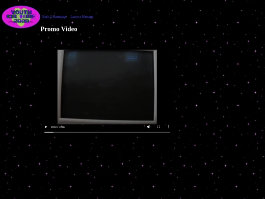 PromoVideo screenshot