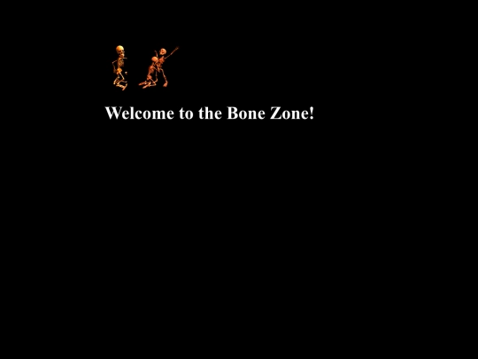 bonezone screenshot