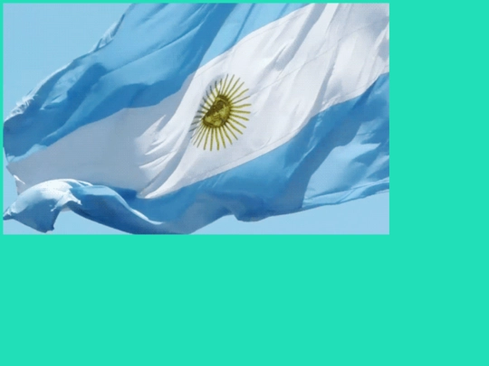 contacto screenshot
