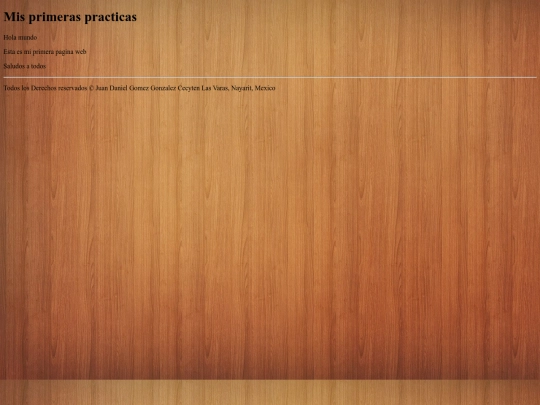 ProgIV/Prog4_Web_01 screenshot