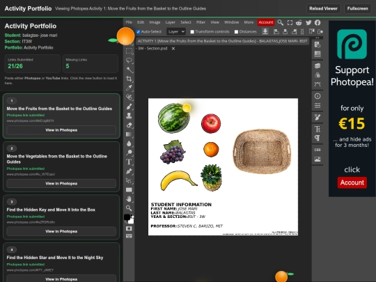 Online Activity Portfolio screenshot