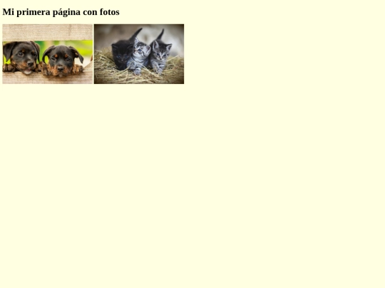 ejemploFoto screenshot