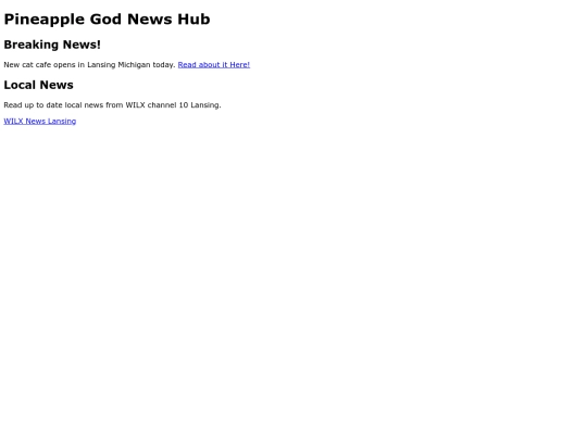 newshub screenshot