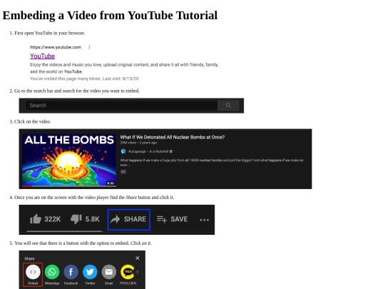 videoembeding screenshot