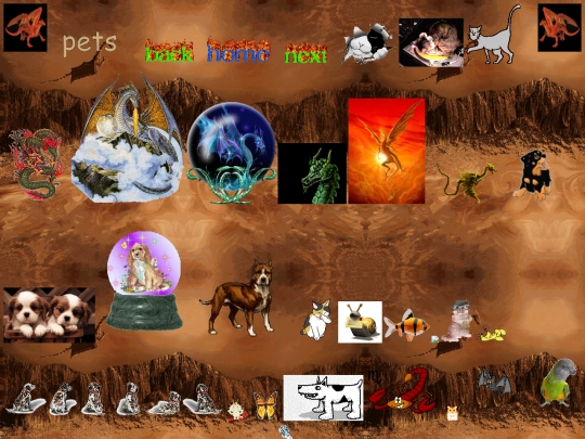 pets screenshot