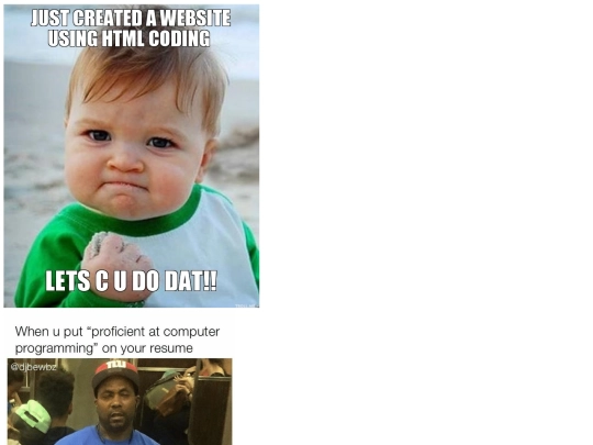 memes screenshot
