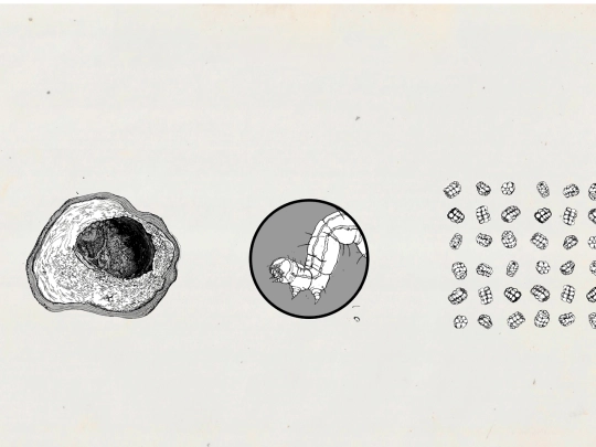 hueko screenshot