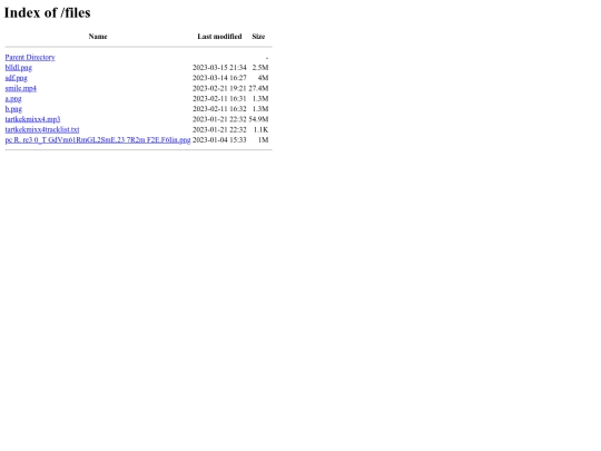 files screenshot