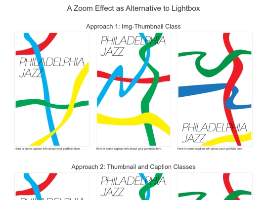 zoom screenshot