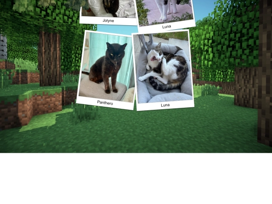 mycat screenshot