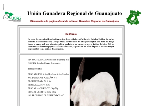 proyecto/California screenshot