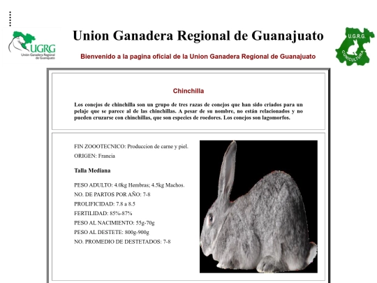 proyecto/Chinchilla screenshot