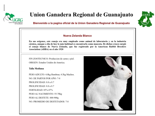 proyecto/Zelanda screenshot