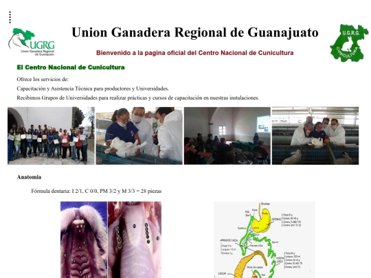 proyecto/cursos screenshot