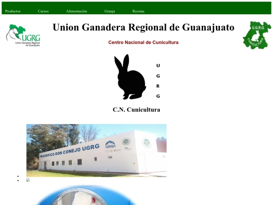 proyecto screenshot