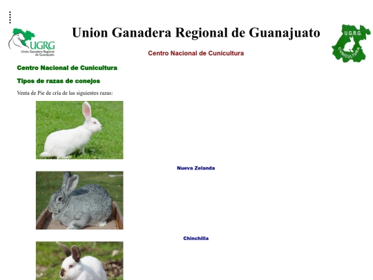 proyecto/productos screenshot