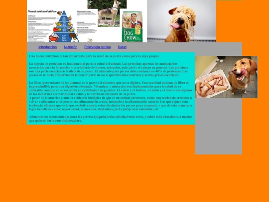 nt screenshot