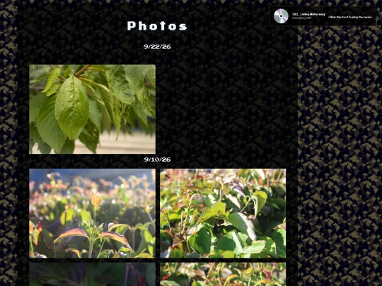 Photos screenshot