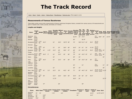 measurements screenshot
