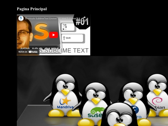 imagen_video screenshot