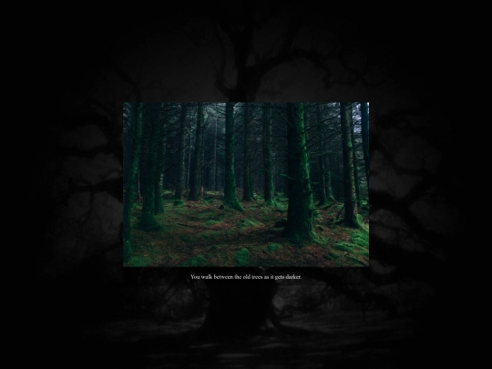 in_the_forest screenshot