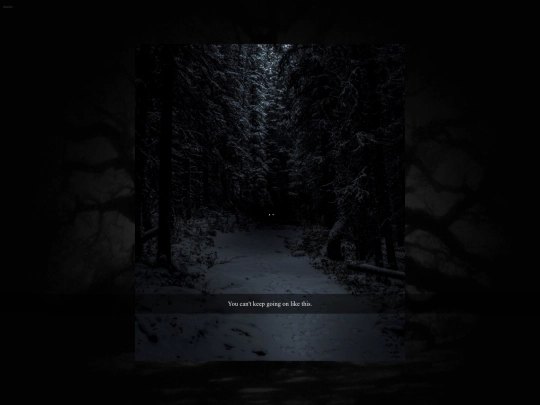 the_end screenshot
