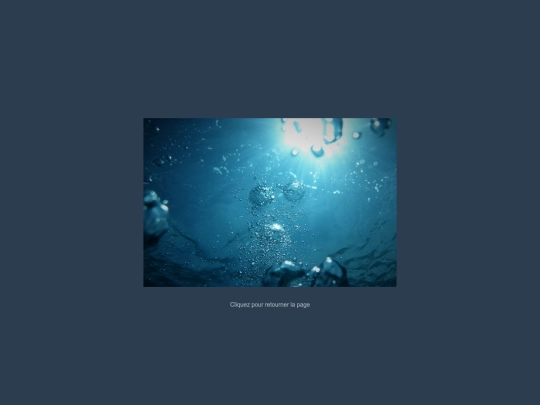 flip_paper screenshot