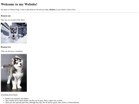 Pet screenshot