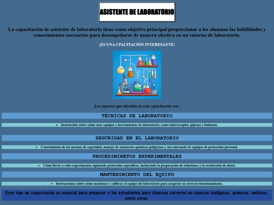 CAPA HTML J/Asistente de laboratorio screenshot
